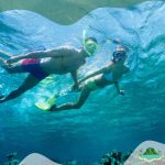 Onderwaterleven rond de Canarische Eilanden
